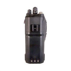 IC-F3161DS