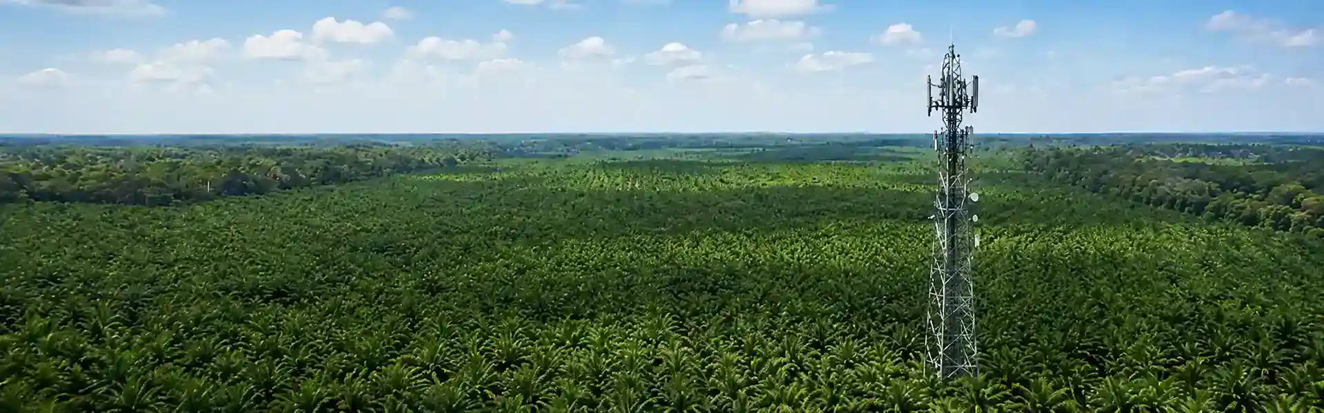 Radio Komunikasi Perkebunan