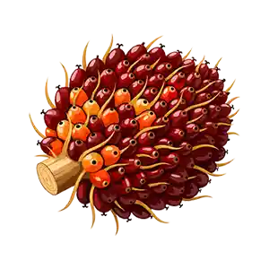 Cluster of red and orange berries packed on a light wooden stem.