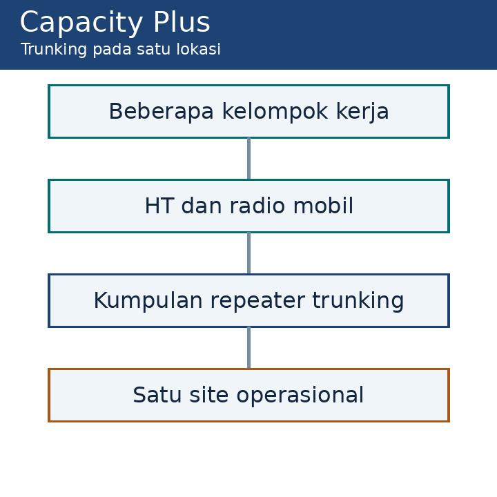 Kelompok kerja memakai kapasitas repeater Capacity Plus pada satu site